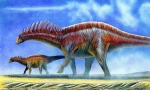 Amargazavr