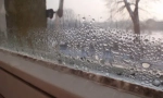 Domaćinstvo i narodni lijekovi za uništavanje kalupa