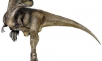 Dasplatosaur