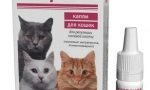 Gestrenol za mačke: slučajevi imenovanja i preporuka za upotrebu