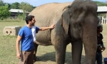 Kako je ukroti azijski slon