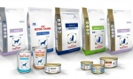 Koji je feed bolji: proplan ili royal kanin?