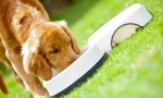 Purina pro plan feed pasa: premium klasa spremna