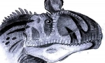 Cryoloposaur