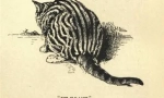 Lice marke whiskas i druge zvezde mačke oglase