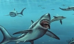 Megalodon