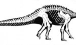Oshanozavr