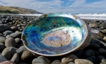 Paua iris