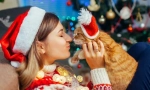 Sretna nova godina, mačka! 14 novogodišnje ideje za poklon za mačke