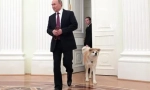 Ruski predsjednik vladimir putin psi