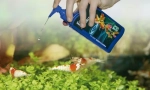 Alati za akvarijum. Hemija skrbi, vitamini, klima uređaji