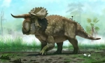 Herbivore dinosaurusi