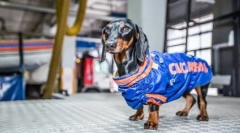 4 Poznatih poreza koji pomažu ljudima