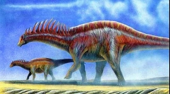 Amargazavr