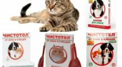 Proslavljen iz buva i krpelja za mačke i pse