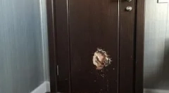 Koji psi rade kada vlasnici nisu kod kuće: top 10 čudnih časova