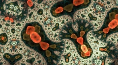 Koji su najjednostavniji?