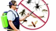 Što je dezinsekcija, vrste i narudžbi