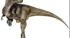 Dasplatosaur