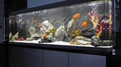 Uređivanje akvarija