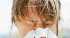 Dermatofag perić ili prašina tick