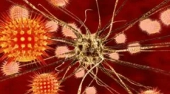 Dijagnoza, liječenje i prevencija krpećeg encefalitisa