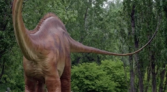 Diplodocus