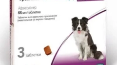 Frontline nexgard i upute za njegovu upotrebu