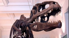 Giganotosaur