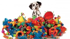 Igračke za pse: opasno i sigurno