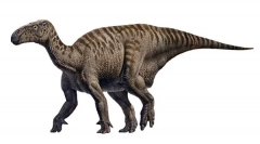 Iguanodon