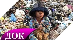 Zanimljive činjenice o zagađenju okoliša