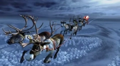 Zanimljive činjenice o jelerima santa claus