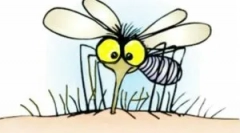 Efektivni praznici protiv komaraca