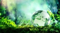 Ekosistem: komponente, struktura, lanci za napajanje