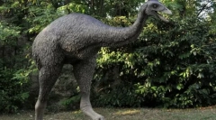 Epiornis