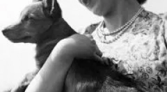 Kakva pasmina psa u engleskoj kraljici