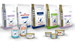 Koji je feed bolji: proplan ili royal kanin?