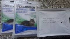 Kapi od buva i krpelji na contels mačke