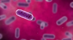 Kavez - genetska jedinica za život