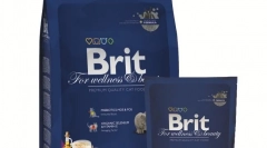 Cat food brit: recenzije i preporuke veterinara