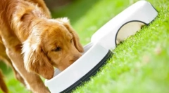 Purina pro plan feed pasa: premium klasa spremna