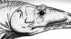 Labokia