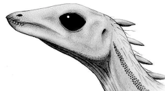 Lesotolar