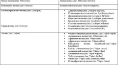 Fox - opis, vrste u kojima živi