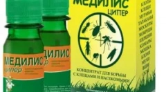 Medilis kup i njegova upotreba od insekata