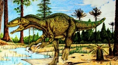 Megaraptor