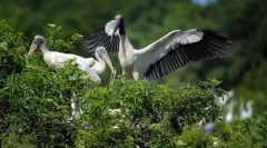 Svijet životinja u fotografijama (18 kom)