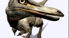 Mononus