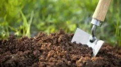 Insekti štetočina koji žive u zemlji